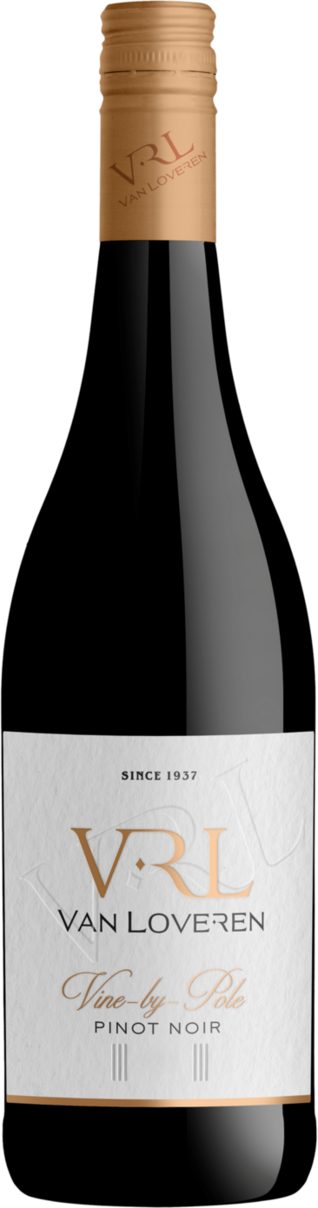 Vine by Pole │ Pinot Noir